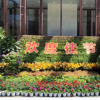 花境花展绿化